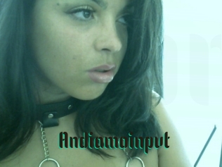 Andiamoinpvt