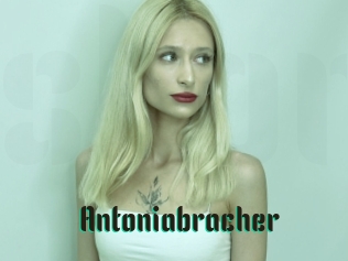 Antoniabracher