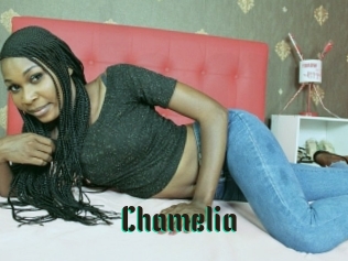 Chamelia