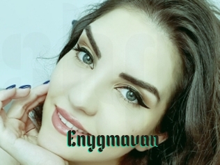 Enygmavan