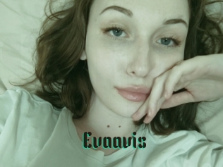 Evaavis