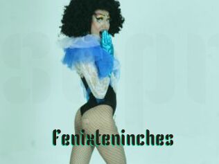 Fenixteninches