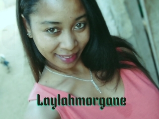 Laylahmorgane