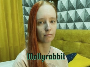 Mollyrabbit