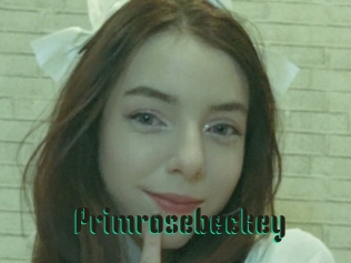 Primrosebeckey