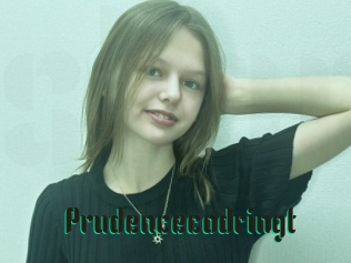 Prudencecodringt