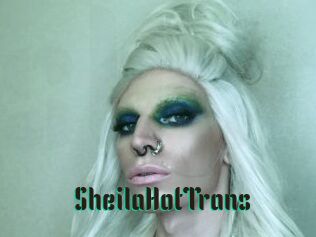 SheilaHotTrans