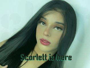 Scarlett_is_here