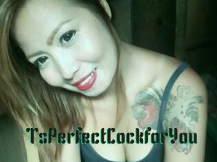 TsPerfectCockforYou