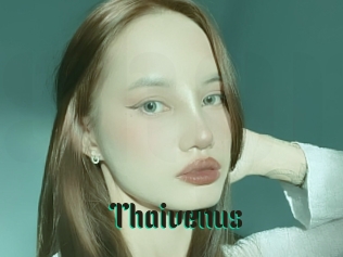 Thaivenus