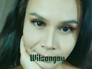 Wilsongay