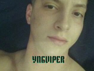 YNGVIPER