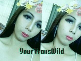 YourTransWild